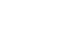 new finish logo